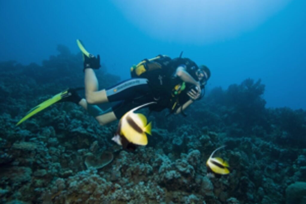 diving-2.jpg